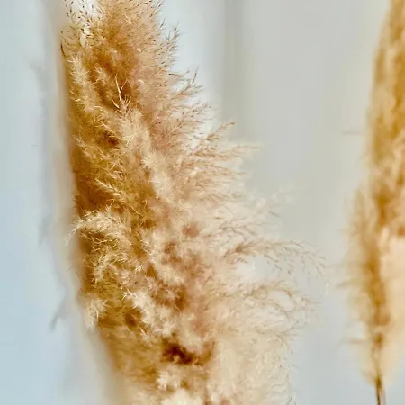 Διαμέρισμα Canaryislandshost L Balcon Del Mar Πουέρτο Ντελ Κάρμεν