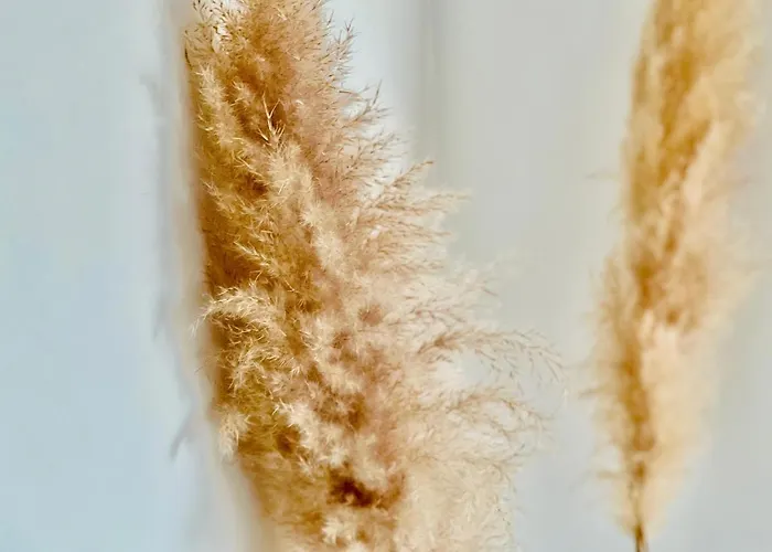 Apartman Canaryislandshost L Balcon Del Mar Puerto del Carmen